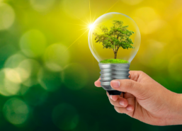 Luttez contre le dérèglement climatique